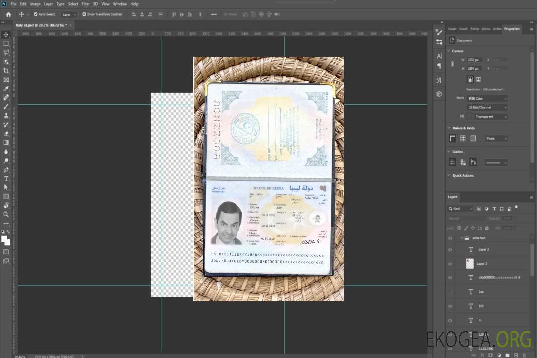 Photo d'identité du passeport libyen template Photo d'identité du passeport libyen template